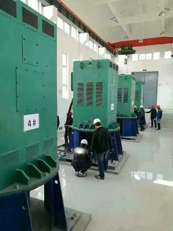 坡心镇某污水处理厂使用我厂的立式高压电机安装现场